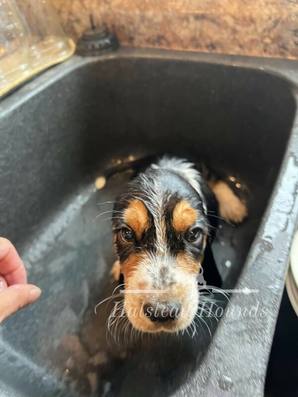 First bath