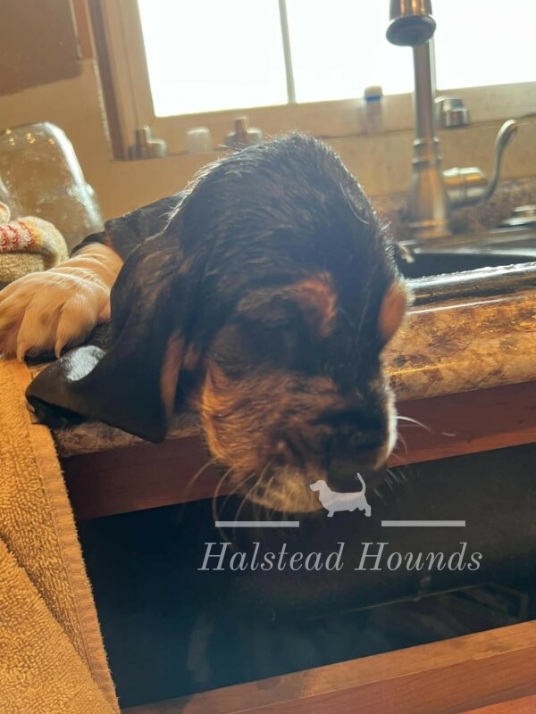 First Bath