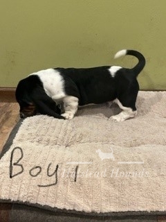 Boy 1