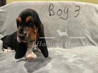 Boy 3