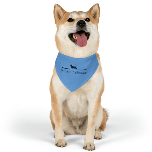 Halstead Hounds Bandana Collar - Image 8