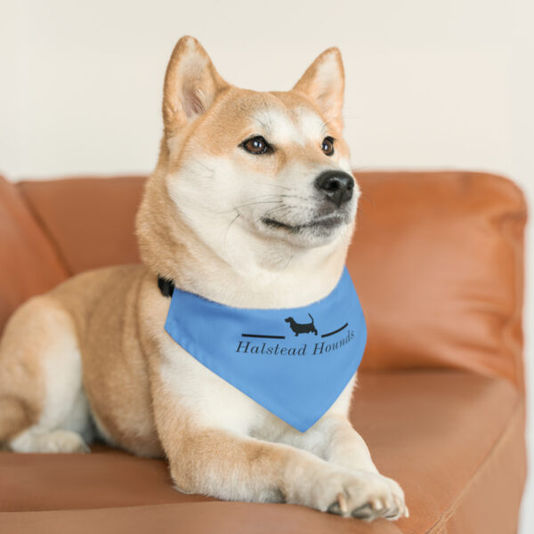 Halstead Hounds Bandana Collar - Image 9