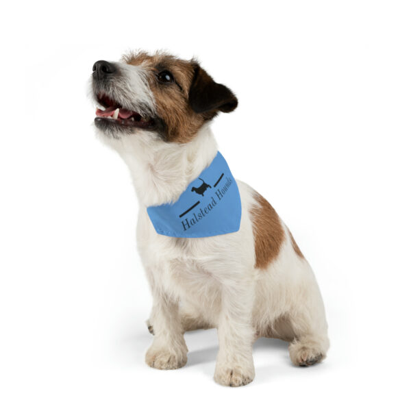 Halstead Hounds Bandana Collar - Image 5