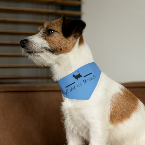 Halstead Hounds Bandana Collar - Image 6