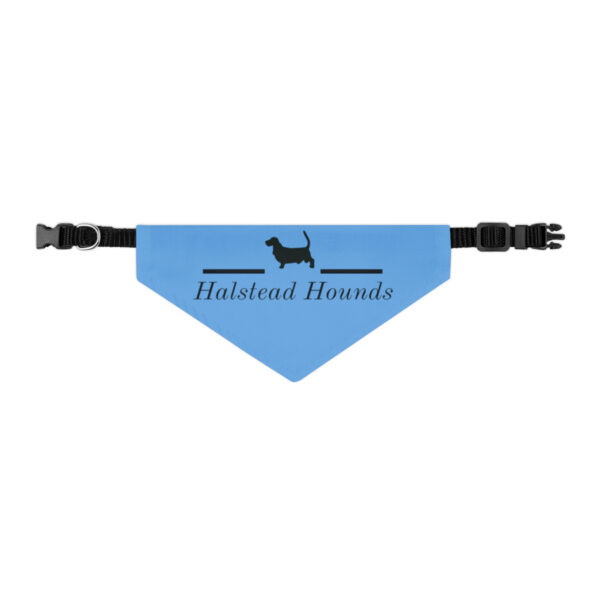 Halstead Hounds Bandana Collar - Image 4