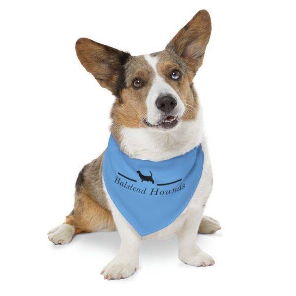 Halstead Hounds Bandana Collar - Image 2