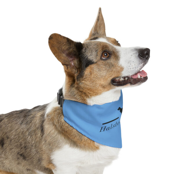 Halstead Hounds Bandana Collar - Image 3