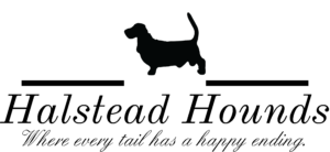 Halstead Hounds Logo Black