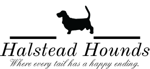 Halstead Hounds Logo Black