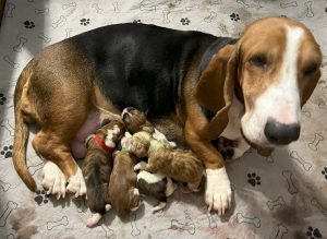 Mom & Newborns